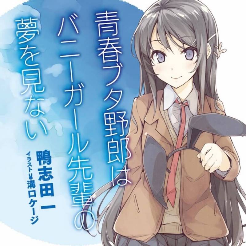 ネタバレ感想・青春ブタ野郎はバニーガール先輩の夢を見ない。